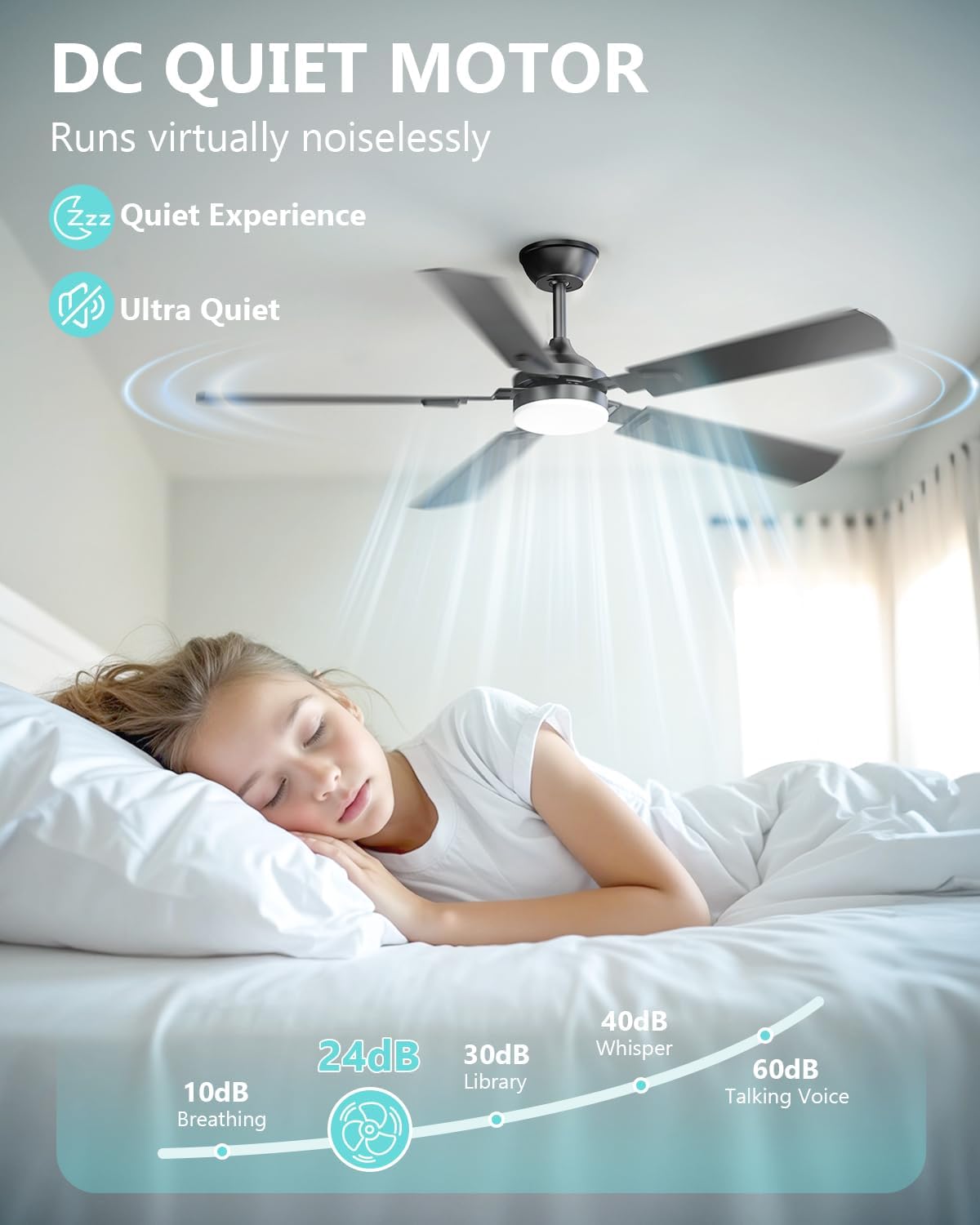 Ceiling Fans with Lights